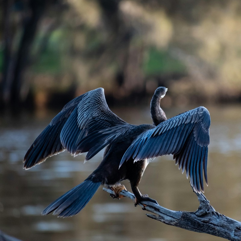 Profilbild von Barbara Beltermann